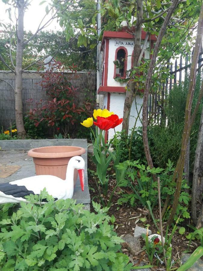 Sofia'S Cottage 아스프로발타 외부 사진